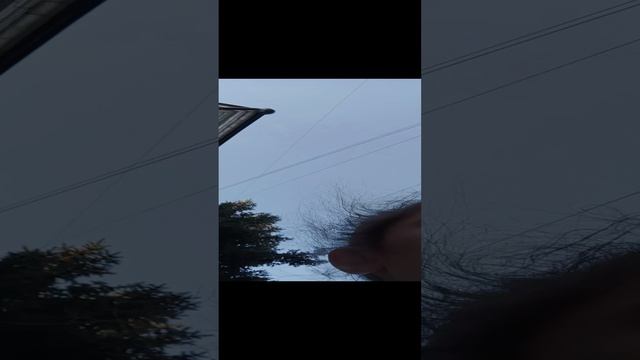 видео посвящается Эмилии и Марго 🩷 смотреть онлайн