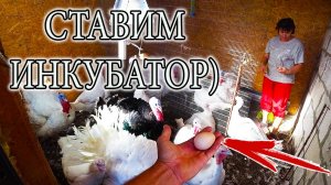 НАШИ "КУРОЧКИ" НАЧАЛИ НЕСТИСЬ