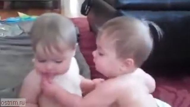 Прикол ! Разборки в яслях. смотреть онлайн