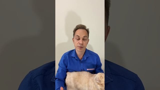 Люблю и не люблю своего ребенка. Часть 4