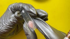 Урок 2. Верхние формы