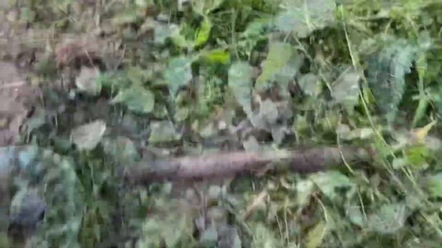 Металлокоп, поднимаем цветнину, коп в труднодоступных местах