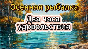 Осенняя рыбалка: ловля леща или два часа удовольствия