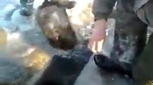 ЗИМНЯЯ РЫБАЛКА НА ТЯГУ...много рыбы...рыбалка на лопату