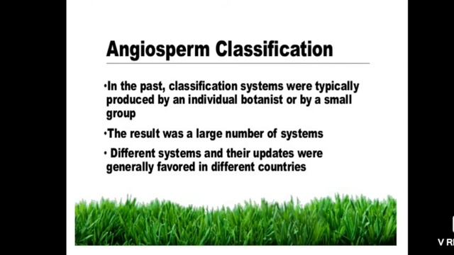 B.Sc. II yr Paper I,Taxonomic systems of classification смотреть онлайн