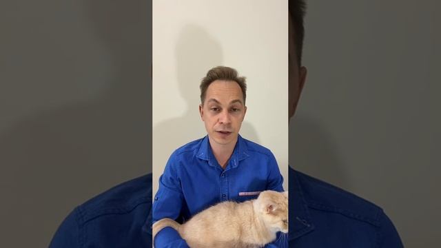 Люблю и не люблю своего ребенка. Часть 3
