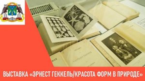 Выставка «Эрнст Геккель/Красота форм в природе»