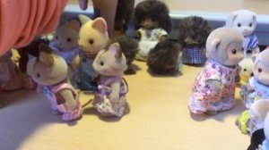 Sylvanian families. Моя коллекция Sylvanian Families. Мои сильвания фэмили