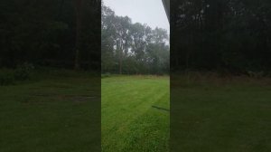 Severe Thunderstorm Extreme Winds Blow Down Trees