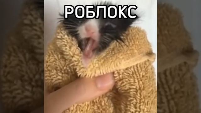 Роблокс😎удалила🥲мне🫡мама😘