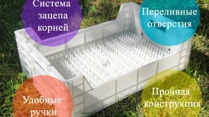 Гидропонный ящик для выгонки тюльпанов от компании "Топаз"