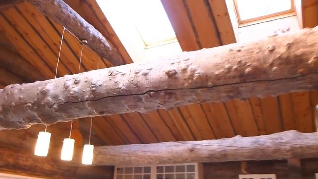 Дом из сухарника