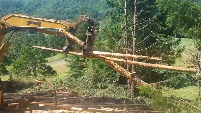 Fort Hoskins Logging