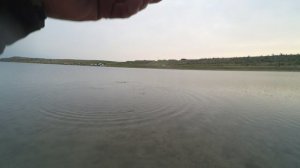 ловля щуки с берега, вываживание (4755)