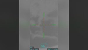 Охота на гиену