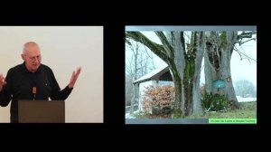 Aktionstag Schöpfung 2022 Vortrag von Prof. Dr. Roman Türk: "Der Baum, das wunderbare Wesen"