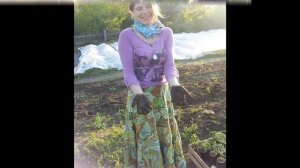 Песня Звездочета