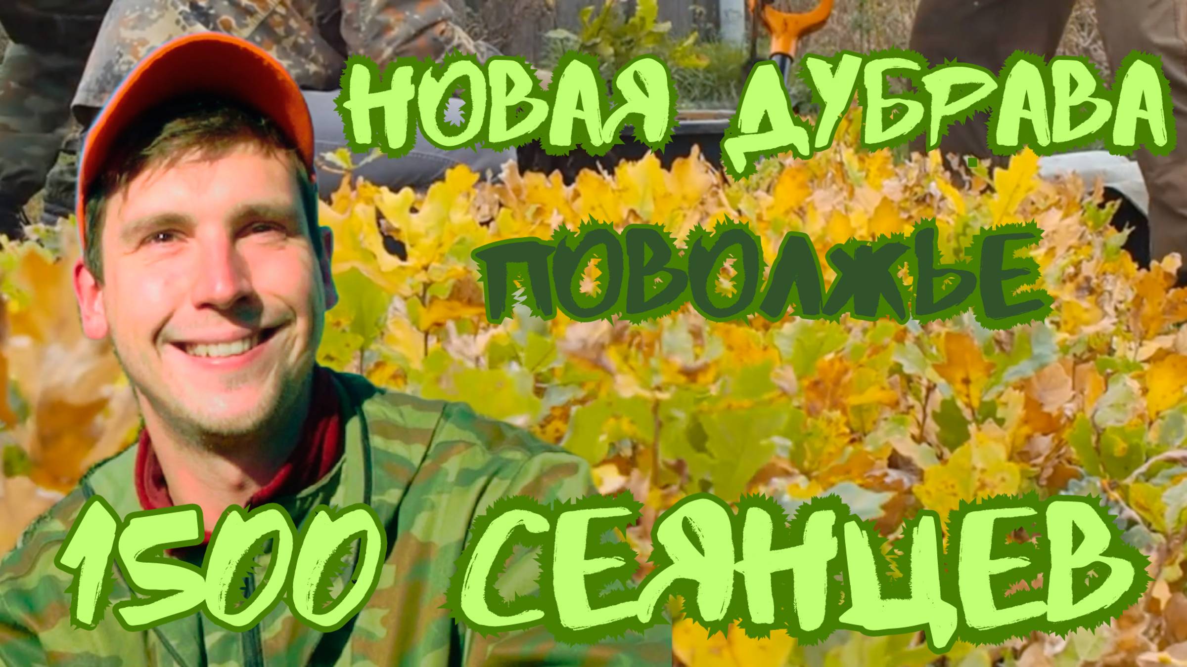 🌲 Новая ДУБРАВА 1500 СЕЯНЦЕВ в лесостепях Пензенской области, Камешкирский район #подаридерево 🌳