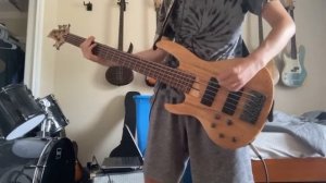 Skillet - The Last Night (bass cover)