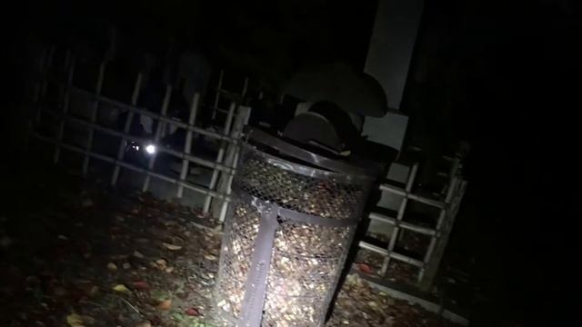 cementerio de Aoyama-japan de noche visitando la tumba de Hidesaburo Ueno y hachiko.