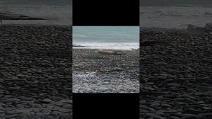 Ялта. На пляже