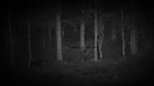 Ультра 455 и дополнительная лазерная подсветка AL 915 Солонец 100м