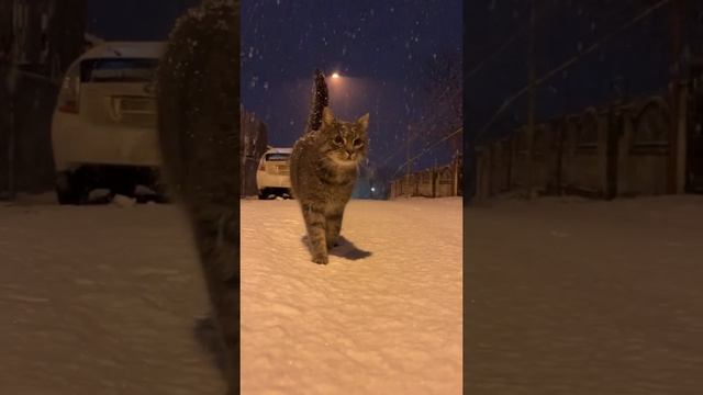 Это видео из будущего. Вы его поймëте только через 2 месяца смотреть онлайн