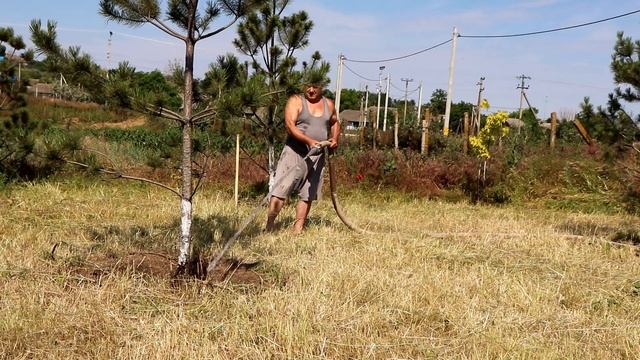 «Чистый Чишмикиой» смотреть онлайн