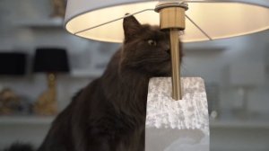 Светильники, которые хочется лизнуть