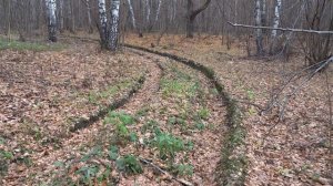 Нива с блокировками. Лес. Осень. Дорога. Офф роуд.