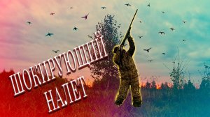 Охота на тетерева осенью. День 2