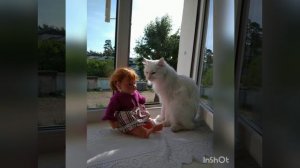 Урок безопасности №4