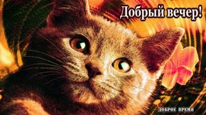 ДОБРЫЙ ВЕЧЕР!! _ КРАСИВЫЕ ПЕСНИ ОБО ВСЁМ