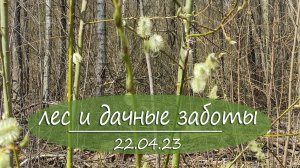 Прогулка по лесу и дачные дела  | Vlog дача как есть. Хроника. 22. 04.2023