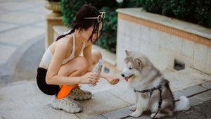 Социальный рейтинг в Китае