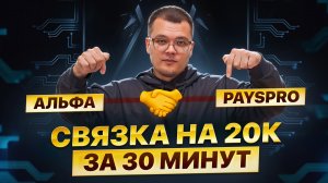 20к чистыми за полчаса. Палю актуальную связку через Альфу и PaysPro.