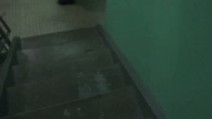 Пассажирский лифт V=1 м-с, Q=400 кг (4406), музыкальный лифт ЩЛЗ