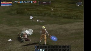 Lineage 2, spellsinger 41 lvl on alligator island