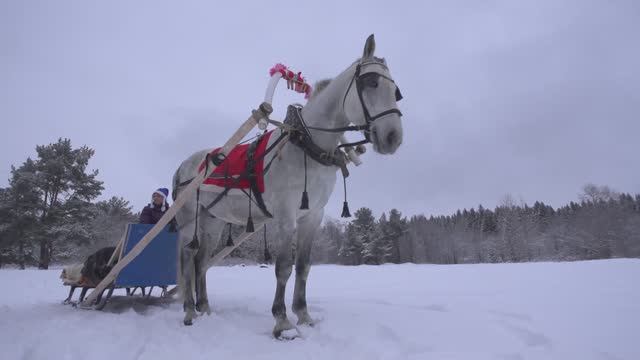 Автоквест Лесной Альянс