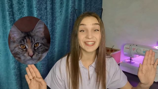 МЕЙН-КУН И СИБИРСКИЙ КОТ! КТО ЛУЧШЕ?