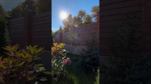 [КРАПИВА ВДОХНОВЛЯЕТ] обзор сада Галины Тазеевой