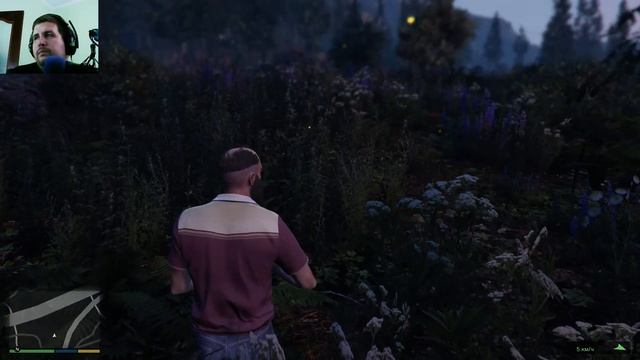 Grand Theft Auto V не помню проходил или нет#21