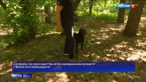 200 тысяч рублей за укус собаки: владельцам бойцовских пород приготовиться