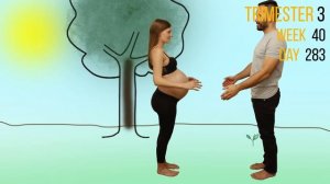 Watch this belly GROW! Daily photo + some creativity = Unique pregnancy transformation time lapse