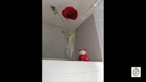 Мои простые правила работы на кухне. Надо знать любой хозяйке.