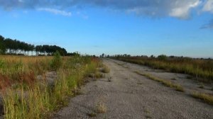 Заброшенная взлетно-посадочная полоса около города Вязники