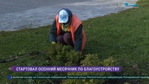 В Петербурге стартовал осенний месячник по благоустройству