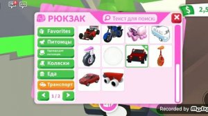 Мой инвентарь в адопт ми.