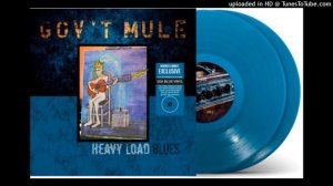 GOV`T MULE 07 - (Brother Bill) Last Clean Shirt, ALBUM "Heavy Load Blues", HIGH QUALITY SOUND