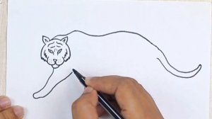 Tiger Drawing | Рисунок тигра 🐅